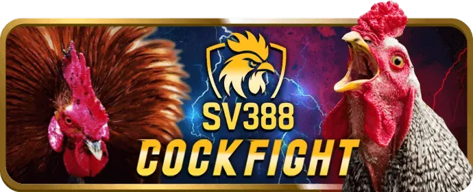 Sân bóng đá với quả bóng và lưới, tượng trưng cho cá cược bóng đá tại 5699win